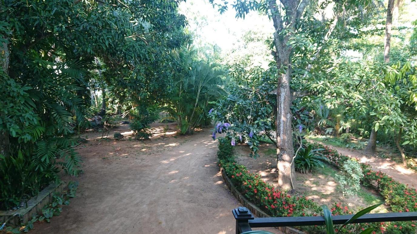 Leopard City Hostel Yala Tissamaharama Buitenkant foto